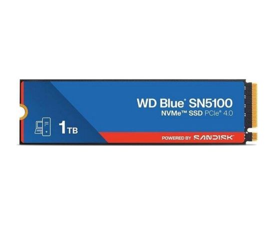SSD SanDisk WD Blue SN5100 NVMe 1TB BLK Новинки Компьютерная техника