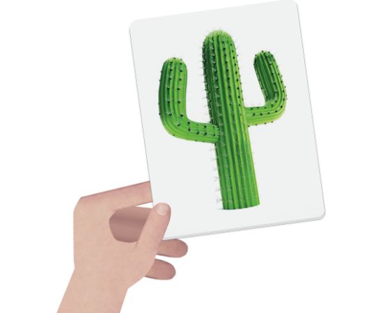 HEADU Maxi карточки с цветами по системе Монтессори Развивающие игры