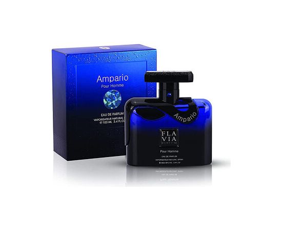 Flavia Parfum Ampario Pour Homme EDP 100ml Vīriešu Smaržas