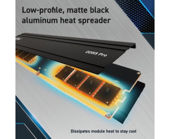 MEMORY DIMM PRO 32GB DDR5-6000 CP32G60C40U5BT CRUCIAL RAM Operatīvā atmiņa