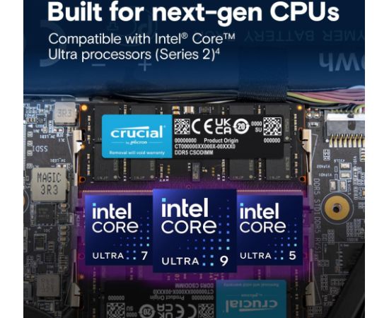 MEMORY DIMM PRO 32GB DDR5-6400 CT32G64C52CS5 CRUCIAL RAM Operatīvā atmiņa