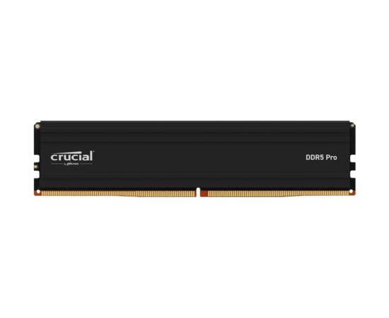 MEMORY DIMM PRO 24GB DDR5-5600 CP24G56C46U5 CRUCIAL Оперативная память (RAM)