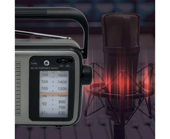 Portable Radio Manta Radio, Radio pulksteņi