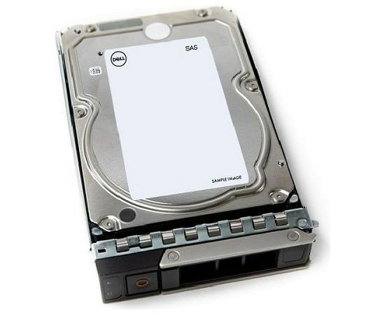 SERVER HDD 12TB 7.2K NLSAS/3.5'' 14GEN 161-BCJX DELL Serveru komponentes