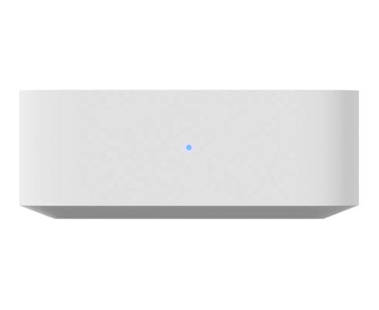 Ubiquiti PoE Audio Port (white) Dažādi vadi