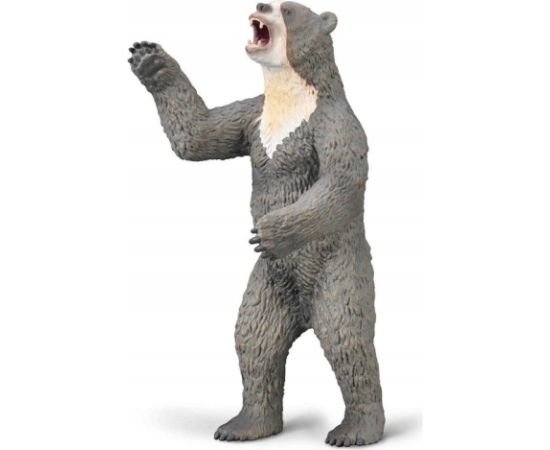 Figurka Collecta COLLECTA ARCTODUS Фигурки и герои