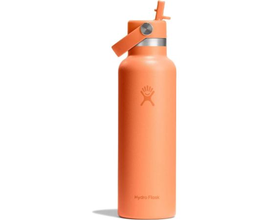 Hydro Flask termopudele 620 ml Standard Flex Straw Cap Бутылки