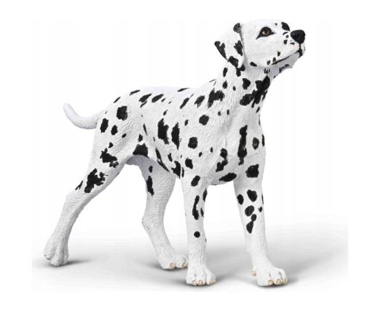 Figurka Collecta COLLECTA DALMATYŃCZYK Фигурки и герои