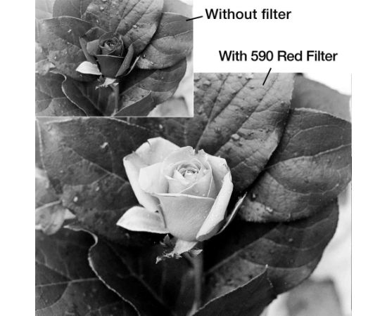 Filtr B+W Filtr czerwony B+W Basic 090 Red Light 590 MRC 1102683 62mm Штативы и Аксессуары