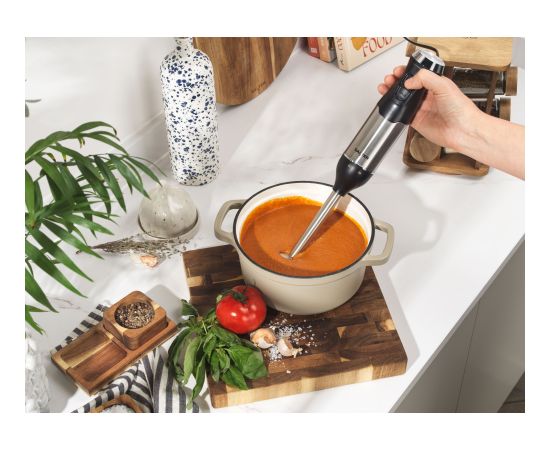 Salter EK6653VDE 4 in  Blender Set Blenderi un Chopperi