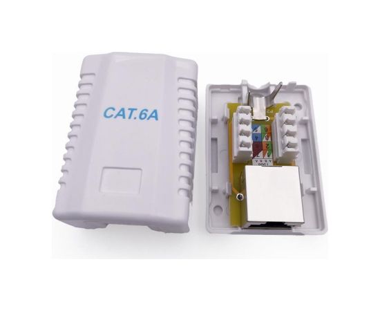 CABLE ACC MOUNT BOX CAT6A FTP/NCAC-1F6A-01 GEMBIRD Tīkla vadi
