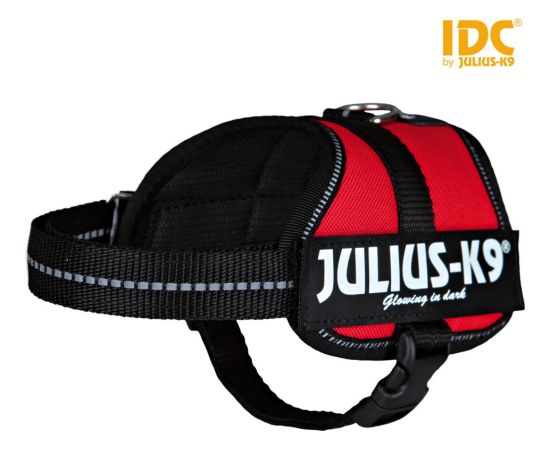 Trixie Szelki Julius-K9®, Baby 2/XS–S: 33–45 cm/18 mm, czerwone Citas preces