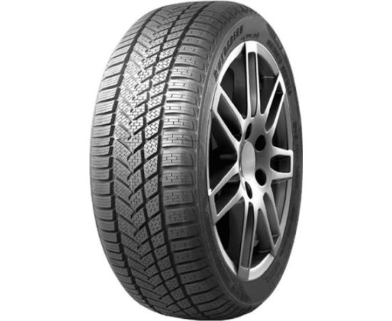 Autogreen Winter-max a1-wl5 255/40R19 100V Ziemas riepas