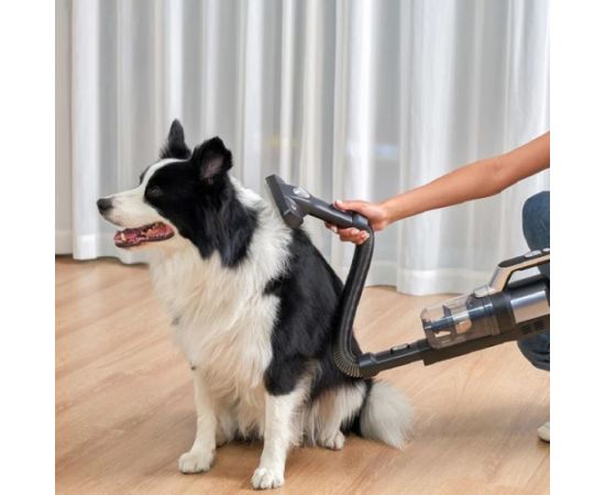 Jimmy Pet Brush/Flexible Hose for PW11 and HW11 series Другие аксессуары