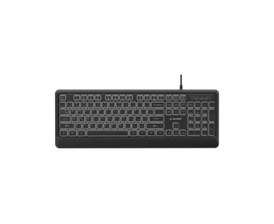 Klaviatūra Gembird Slim Backlight USB-A+C US Klaviatūras