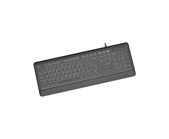 Klaviatūra Gembird Slim Backlight USB-A+C US Klaviatūras