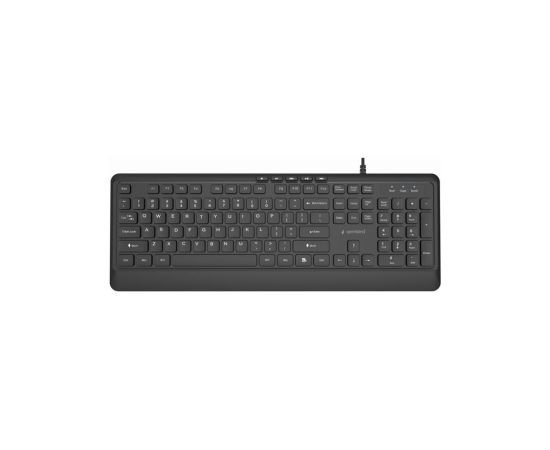 Klaviatūra Gembird Slim Multimedia USB-A+C US Клавиатуры
