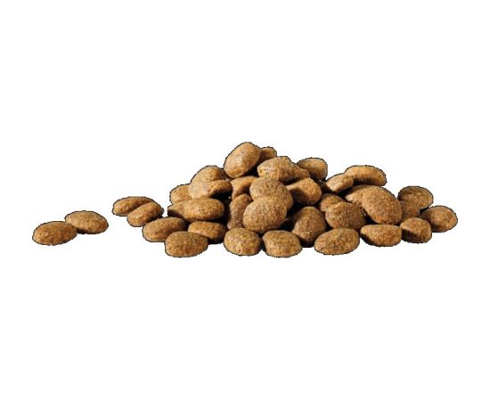 Versele-laga Versele Laga HappyLife Essential sucha karma z kurczakiem dla psów dorosłych 20kg Suņu barība