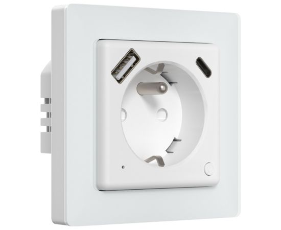 Avatto WOT20-FR Smart plug Viedās rozetes