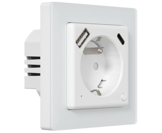 Avatto WOT20-FR Smart plug Viedās rozetes