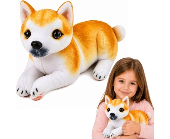 LeanToys Pluszowy Piesek Shiba Inu Przytulanka Maskotka Pluszak Pies Miękki 25 cm EDUKAMP Мягкие игрушки