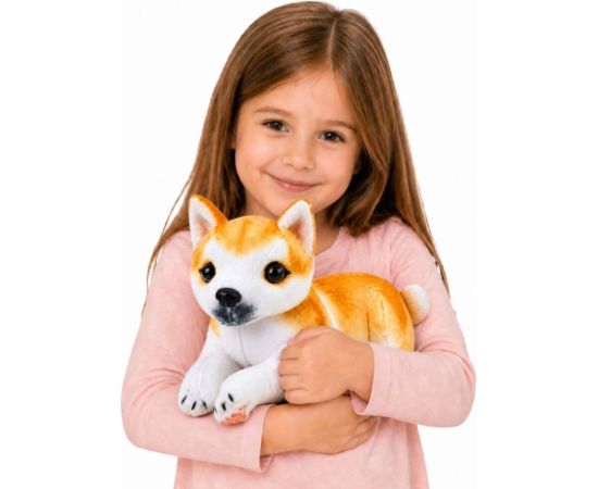 LeanToys Pluszowy Piesek Shiba Inu Przytulanka Maskotka Pluszak Pies Miękki 25 cm EDUKAMP Мягкие игрушки