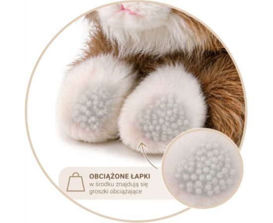 LeanToys Pluszowy Kot Perski Maskotka Przytulanka Obciążeniowe Łapki Beżowy 50 cm EDUKAMP Mīkstās rotaļlietas