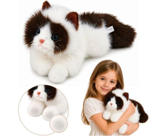 LeanToys Pluszowy Kot Perski Maskotka Obciążeniowe Łapki Brązowo-Biały 50cm EDUKAMP Мягкие игрушки