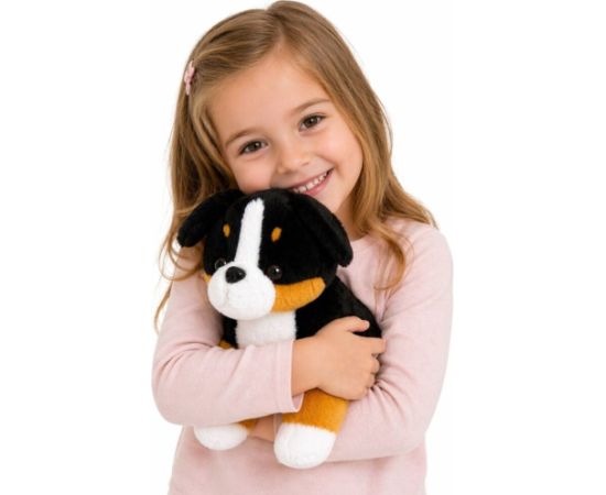 LeanToys Pluszowa Maskotka Miękki Piesek Przytulanka Pies Berneński 30x30 cm EDUKAMP Mīkstās rotaļlietas