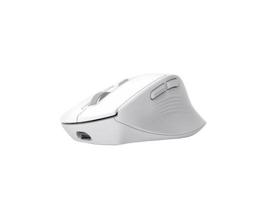 Datorpele Trust Niven Comfortable Multi-Wireless White Peles, ievadierīces
