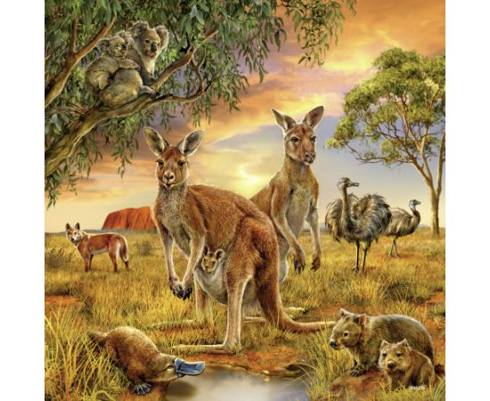 Ravensburger Puzzle 3x49 pc World Animals Пазлы