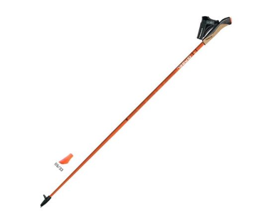 Gabel X-1.35 Active Палки для скандинавской ходьбы фиксированной длины, 115 см Нордическая ходьба