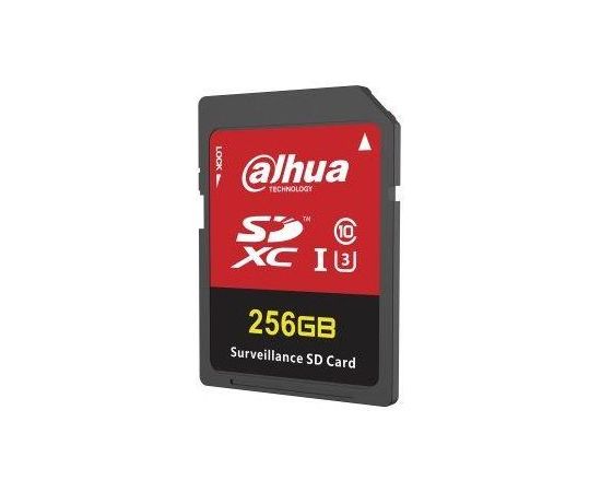 Dahua Technology H100 SDXC 256GB CLASS 10 U3 Карты памяти