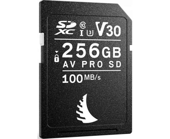 Angelbird AV Pro SDHC 256 GB UHS-I/U3 V30 (AVP256SDV30) Atmiņas kartes micro SD SDHC