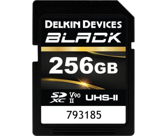 Delkin Black Rugged SDXC 256 GB Class 10 UHS-II V90 (DSDBV90256BX) Карты памяти
