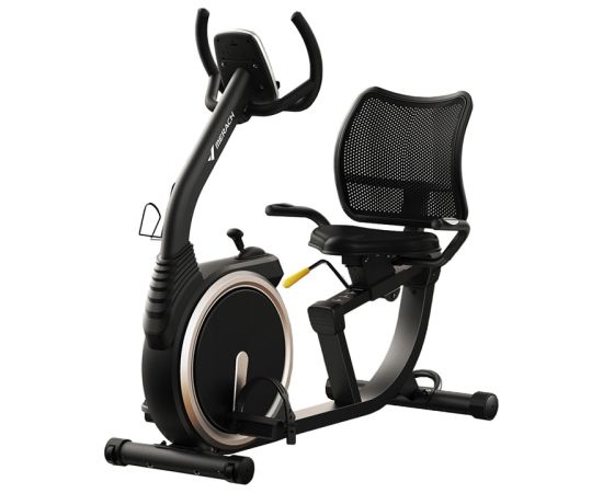 MERACH MR-S19 Recumbent Bike Беговые дорожки