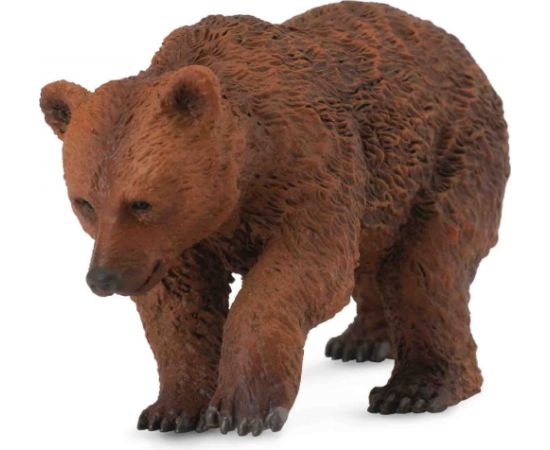 Figurka Collecta Niedźwiedź brunatny - młody ssak (004-88561) Фигурки и герои