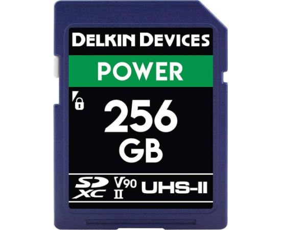 Delkin Power 2000x SDXC 256 GB Class 10 UHS-II/U3 V90 (DDSDG2000256) Карты памяти
