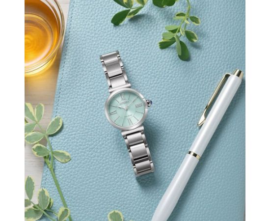 Citizen Eco-Drive EM1070-83L Rokas pulksteņi 