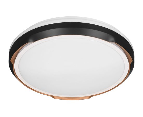 Activejet LED ceiling light AJE-PETRUS 24W Griestu lampas - šķīvji