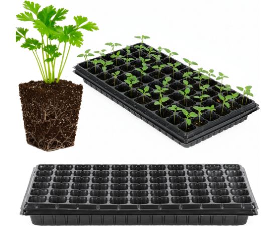 Springos Daudzsekciju paplāte GA0221 52.5 x 31.5 cm Citi virtuves piederumi