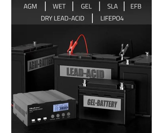 Qoltec Microprocessor charger 12V 12.6V 24V LCD Зарядные устройства и стартеры