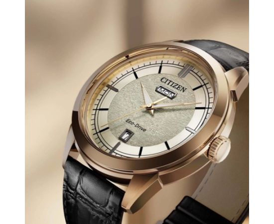 Citizen Eco-Drive AW0153-04AC Rokas pulksteņi 