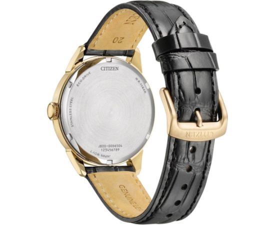 Citizen Eco-Drive AW0153-04AC Rokas pulksteņi 