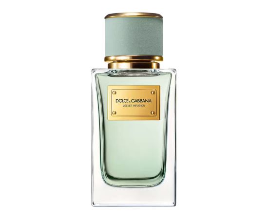 Dolce & Gabbana, Velvet Infusion, Eau De Parfum, Unisex, 100 ml Smaržas - NESAKĀRTOTS