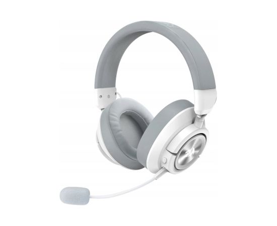 Austiņas Redragon H889WG Austiņas