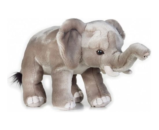 Dante Pluszak National Geographic Słoń afrykański szary 25 cm (003-70717) Мягкие игрушки
