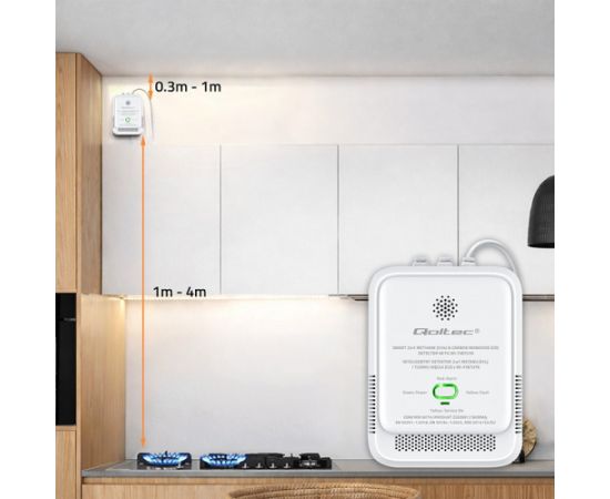 Qoltec 52654 2in1 natural gas and carbon monoxide (CO) leak detector | CH4 | CO | NG | Tuya | Wi-Fi | 85dB alarm | LED Умный дом