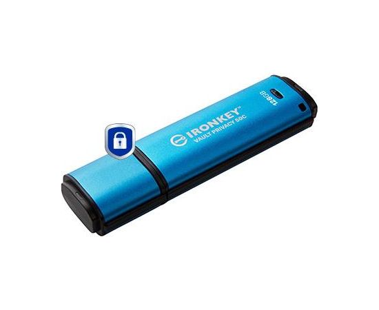 MEMORY DRIVE FLASH USB-C 128GB/IKVP50C/128GB KINGSTON USB карты памяти (Flash)