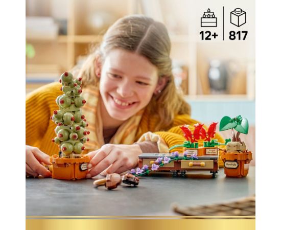 LEGO Harry Potter Rośliny z lekcji zielarstwa w Hogwarcie (76474) Новости - Детские товары